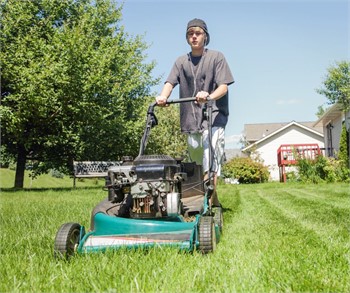 Adventures in Landscaping - Unearthing the Secrets of a Teenage Lawnpreneur!